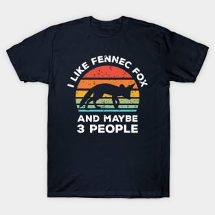 I Like Fennec Fox and Maybe 3 People, Retro Vintage Sunset with Style Old Grainy Grunge Texture T-Shirt